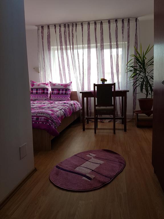Casa Rustica Apart & Rooms Cimpineanca Luaran gambar